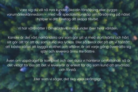 Vare sig du vill nå nya kunder, öka din försäljning eller bygga varumärkeskännedom – med vår specialistkunskap om försäljning på nätet hjälper vi ditt företag att skapa tillväxt. 
