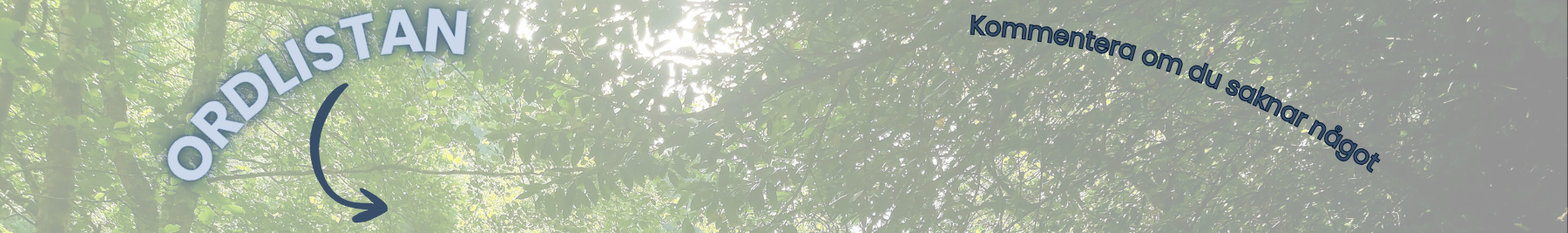 Bild som presenterar en ordlista om digital marknadsföring