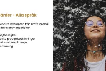 SEO-strategi för webshop