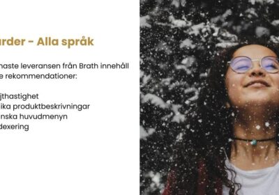 SEO-strategi för webshop