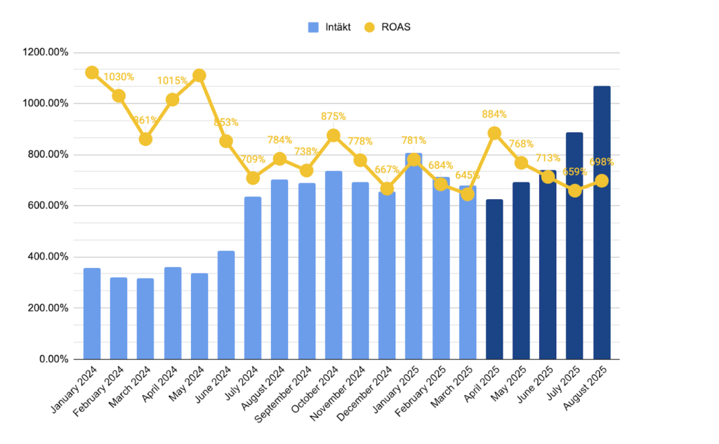 Chart showing the revenue and ROAS for this Google Ads projec