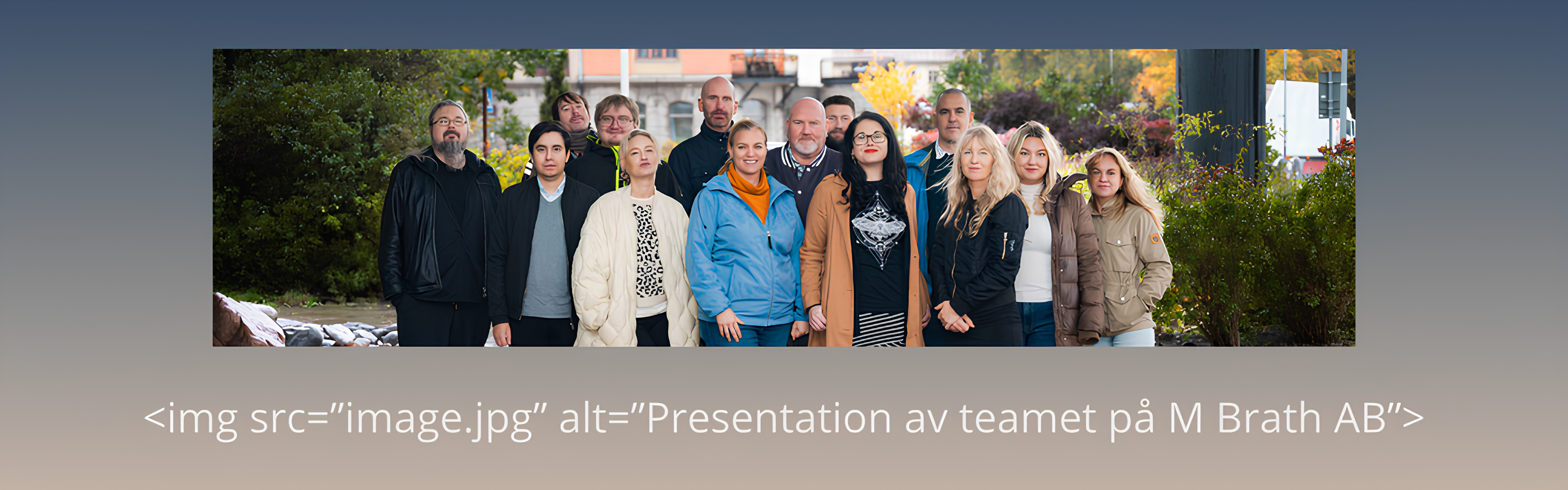 Närmare förklaring av en alt-text